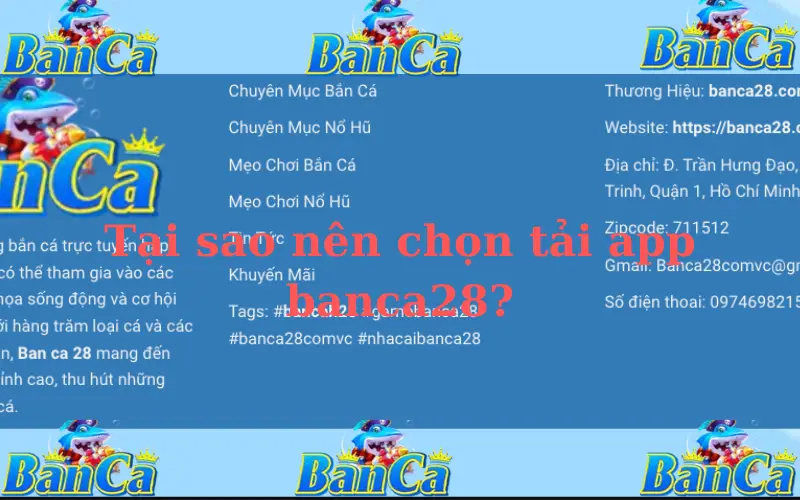 Tại sao nên chọn tải app banca28?