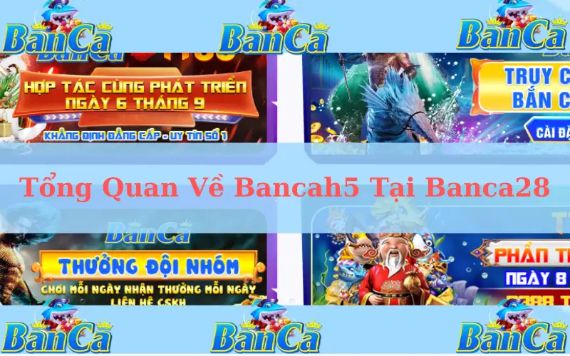 Tổng Quan Về Bancah5 Tại Banca28